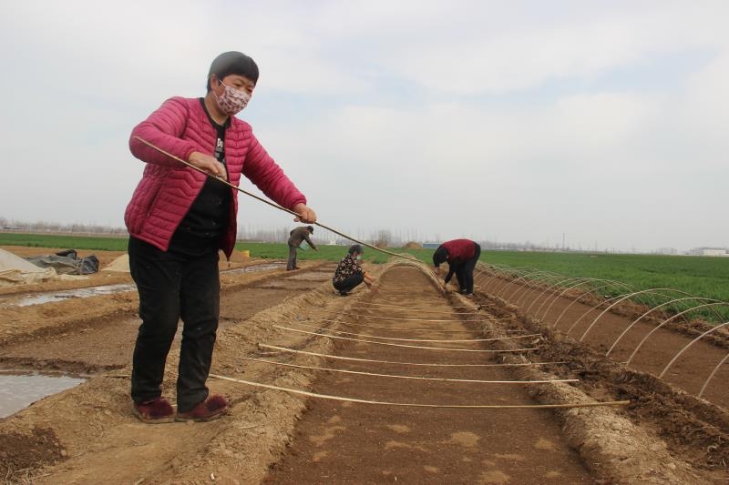 疫情防控、春耕生產(chǎn)兩手抓