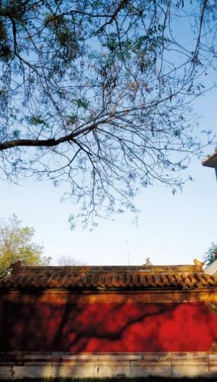 畢業(yè)旅行:走進中國古代最高學府國子監(jiān)