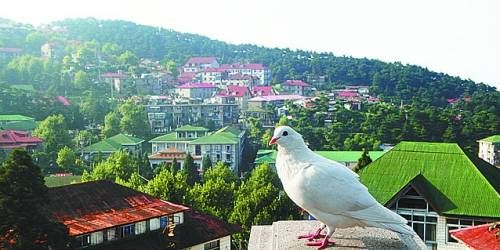  有著“云中山城”之稱的牯嶺鎮(zhèn)面臨著遷民下山。